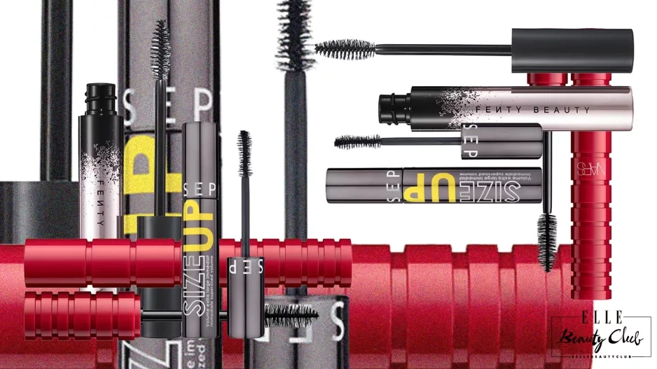  ŘASENKY NOVODOBÉ DOBY