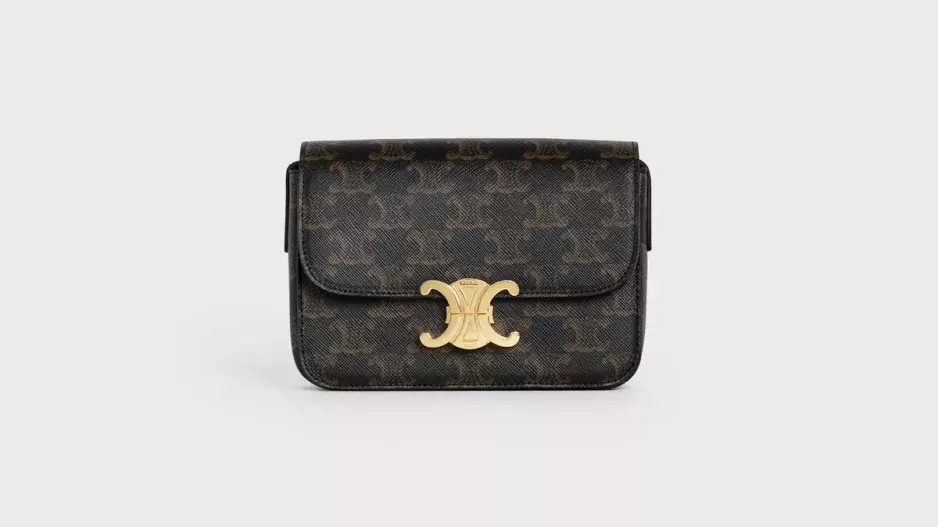 Celine Nano Canvas Triomphe bag