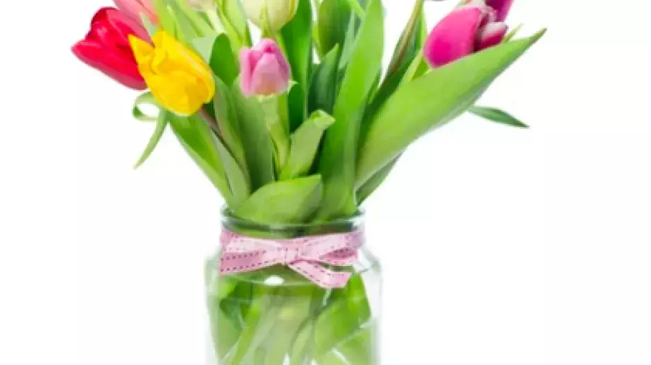 mix tulipánů, Rohlik.cz, 149 Kč