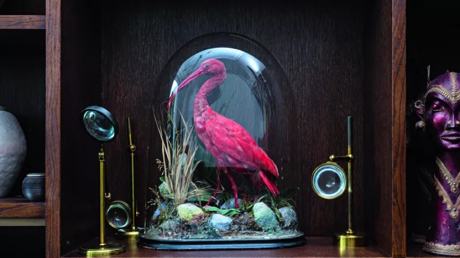 ELLE Decoration - Gabriela Peacock