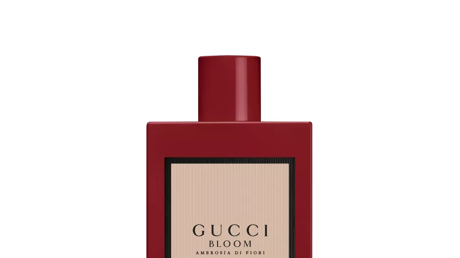 Gucci Gucci