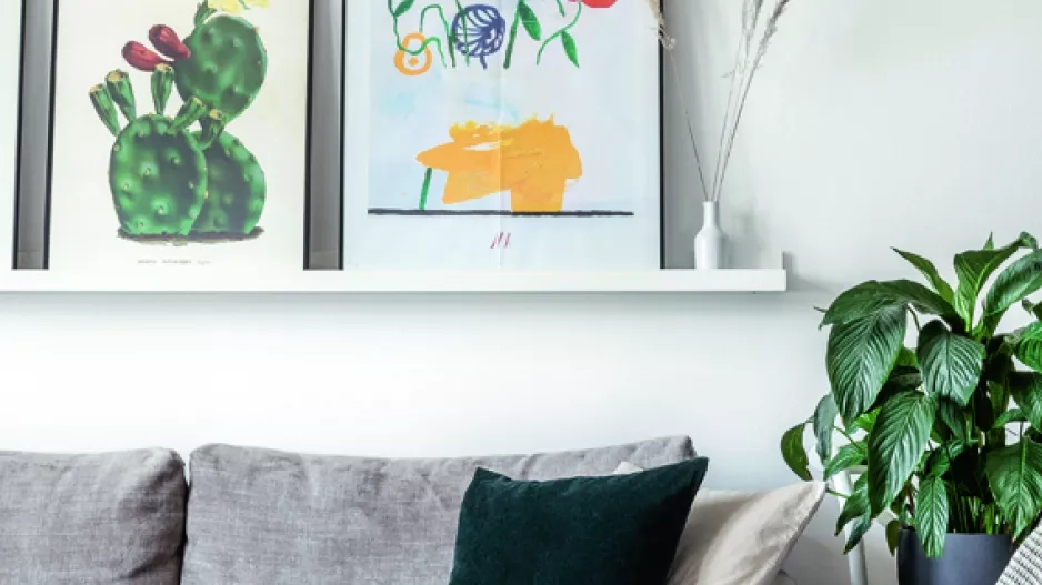 Honza Zima Honza Zima