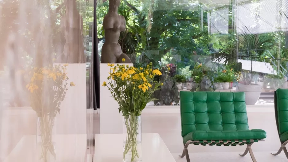 ČISTÝ DOMOV, ČISTÁ DUŠE. JAK SI PROTŘÍDIT VĚCI A POZDĚJI NELITOVAT?