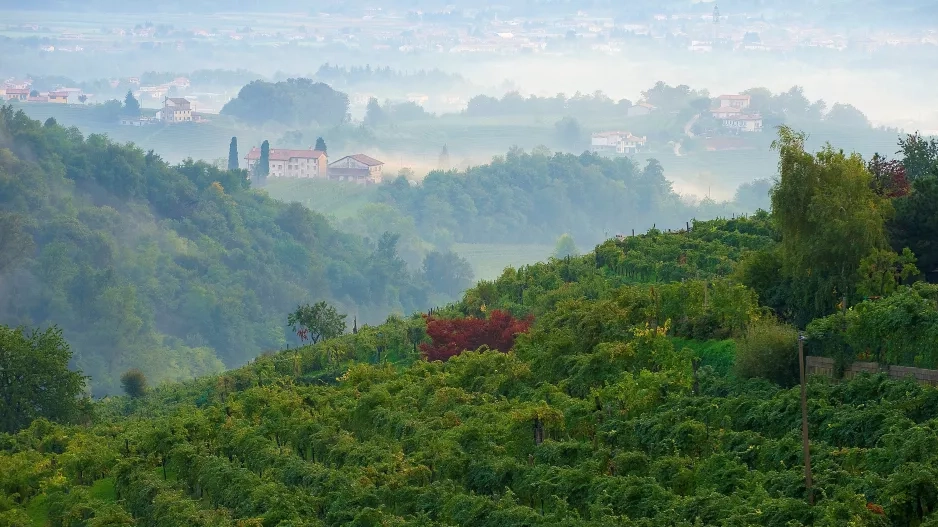 Vše, co potřebujete znát o tolik oblíbeném Proseccu