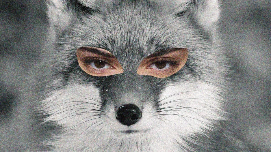 Foxy Eyes