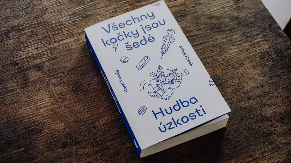 Všechny kočky jsou šedé – Veselý Karel, Hroch Miloš 