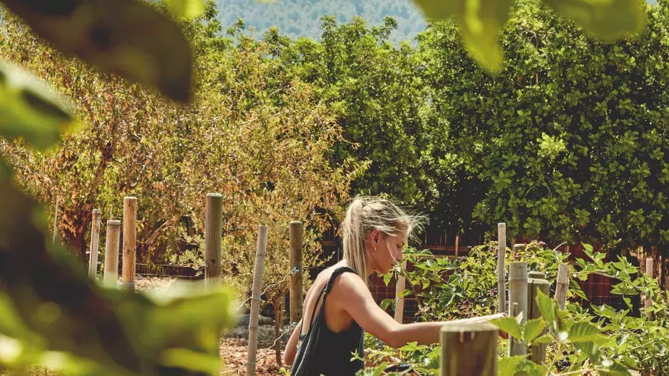 FARMA HANY SOUKUPOVÉ NA MALLORCE