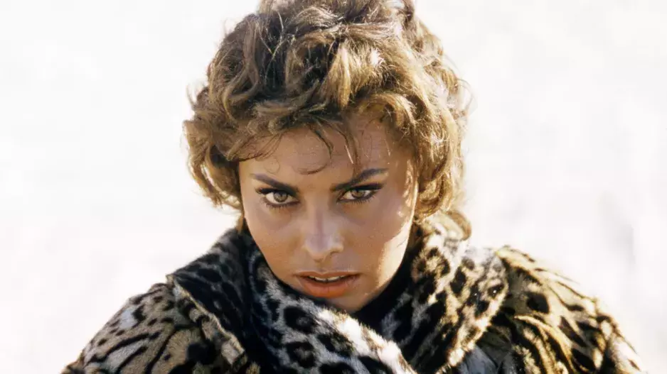 Sophia Loren