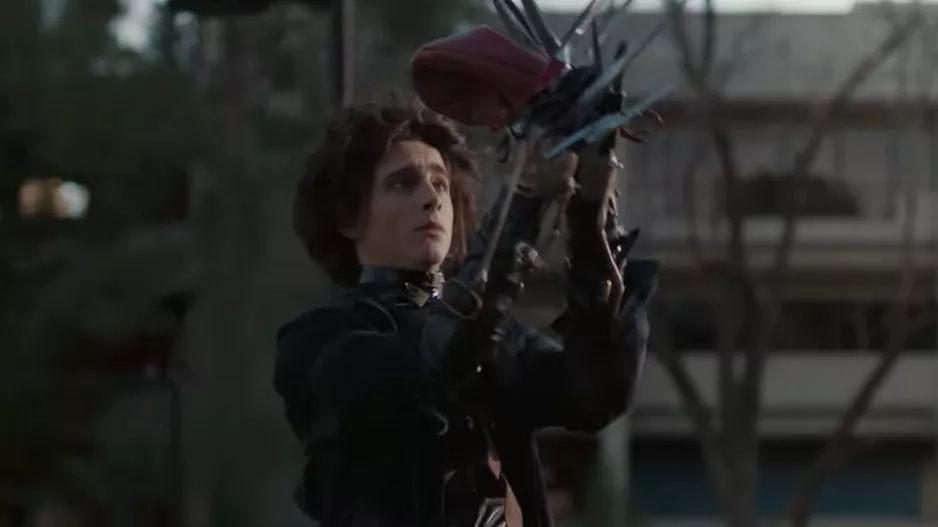 Timothée Chalamet