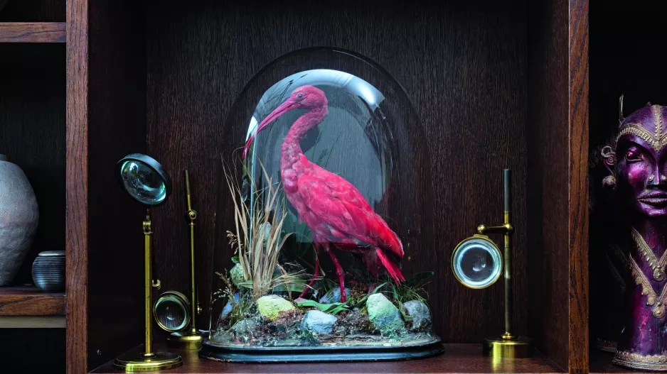 Rezidence Gabriely Peacock