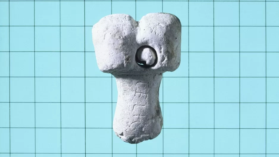 Vše, co jste kdy (ne)chtěli vědět o penisu