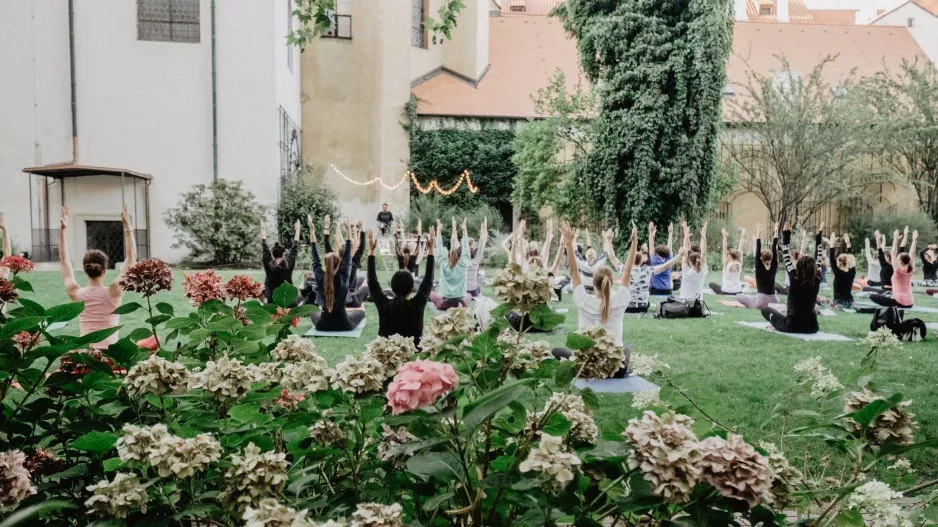 Yoga Movement Experience