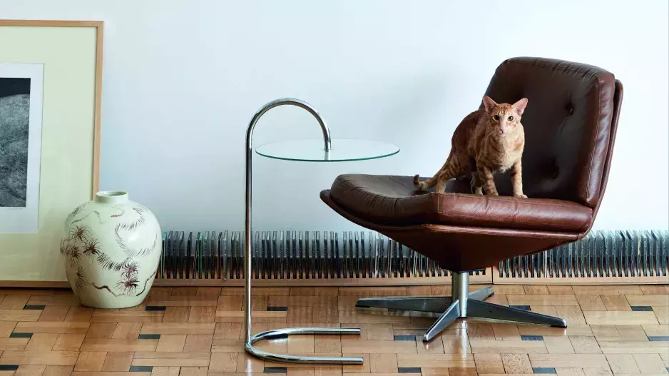 Elektrický byt Elektrický byt