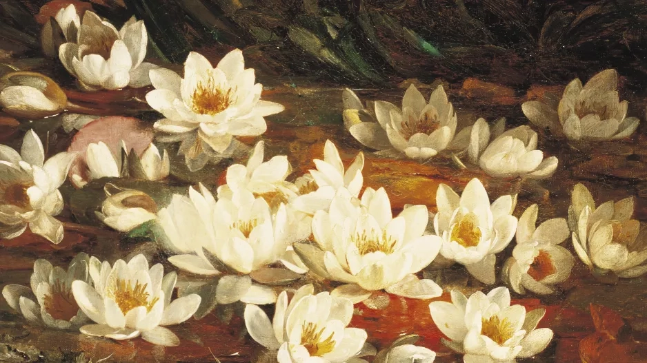 carbon neutral beauty 