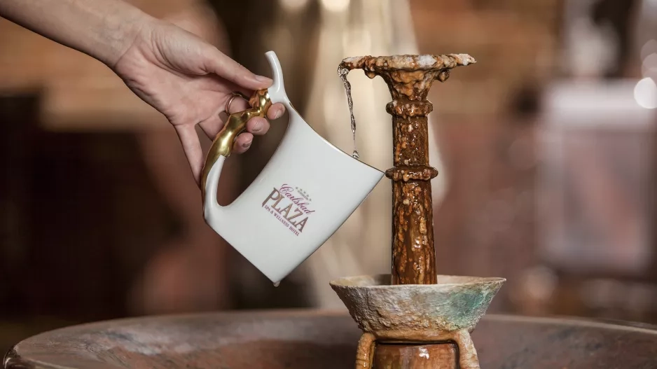 Carlsbad Plaza Medical Spa & Wellness hotel 5*Superior 