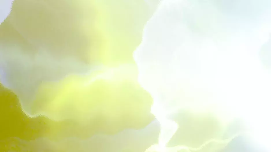 Datura Match, 202 by Veronika Čechmánková