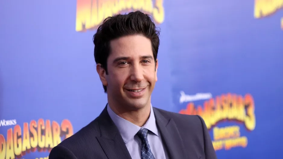David Schwimmer
