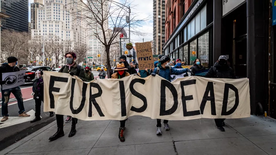 Elle končí s pravými kožešinami