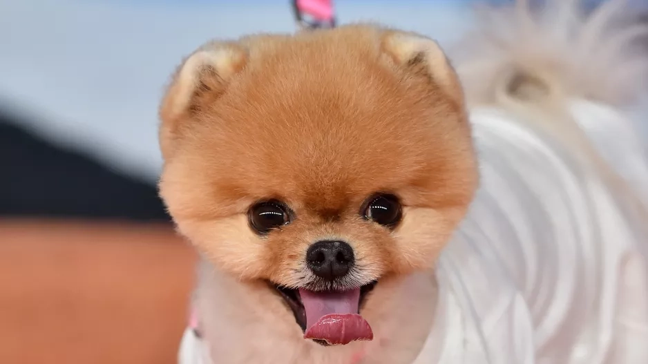 JIFFPOM