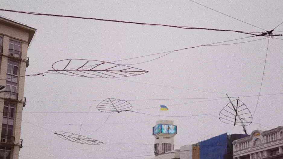 Anna Ozerchuk Anna Ozerchuk