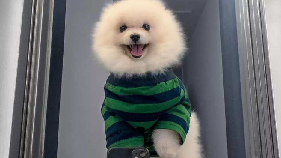 SUNNEI SUNNEI
