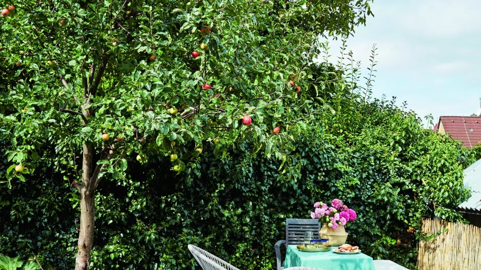 Dům manželů Jakešových