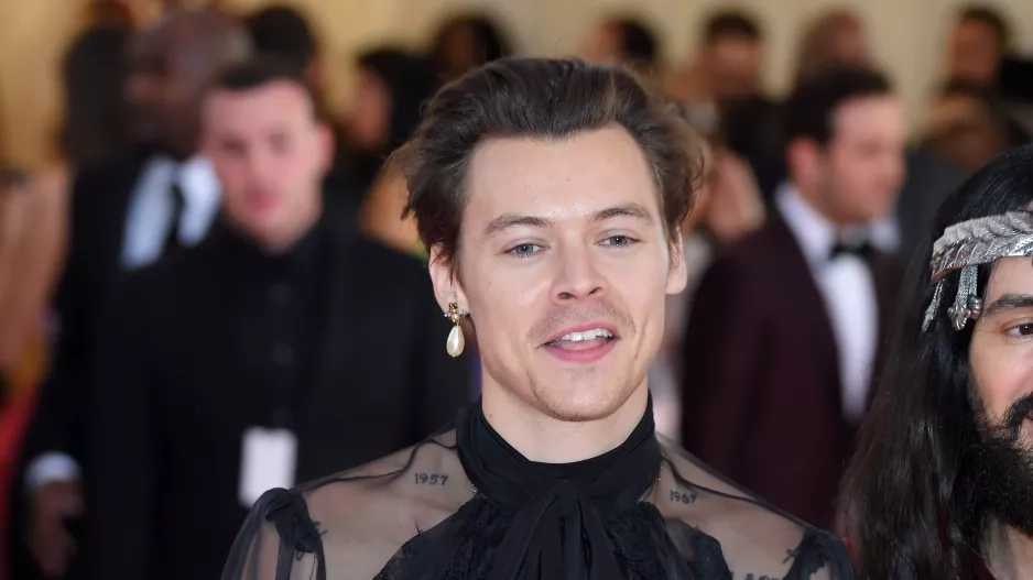 Fashion Icone Harry Styles