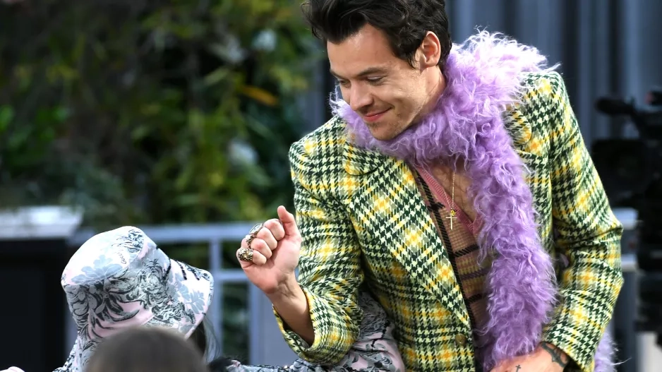 Fashion Icone Harry Styles