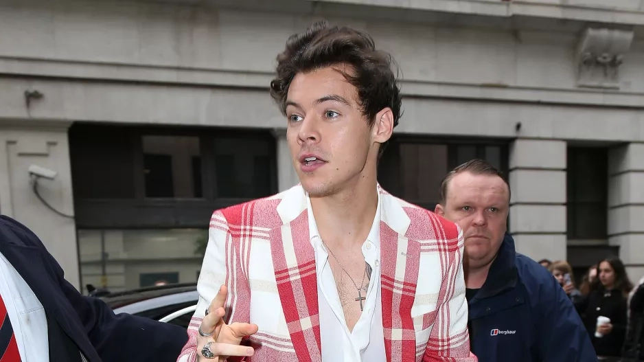 Fashion Icone Harry Styles
