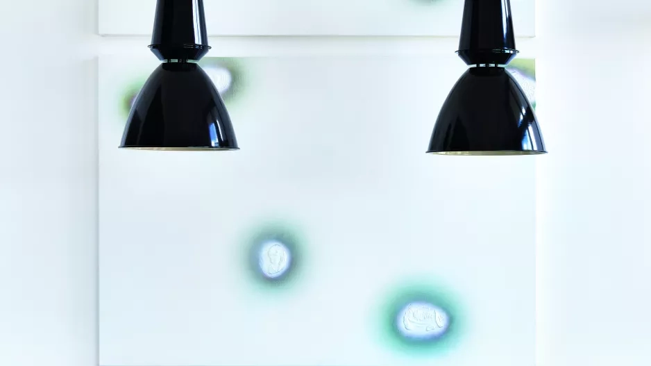 Byt galeristky Olgy Trčkové