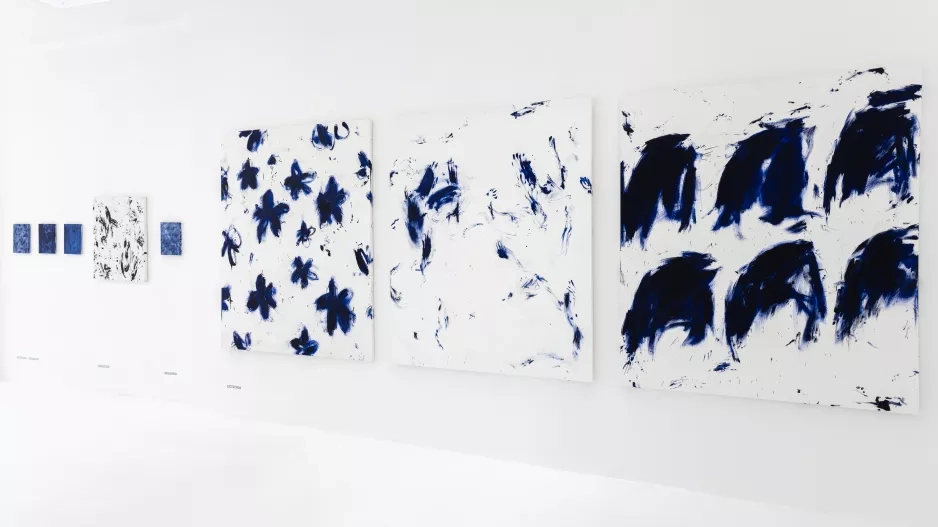 Výstava Blau Barbory Valáškové