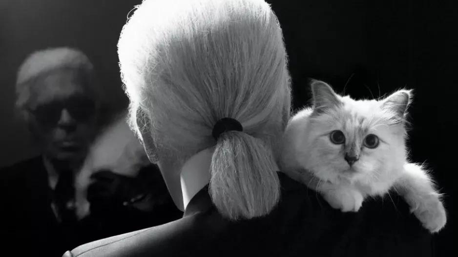 Karl Lagerfeld a Choupette