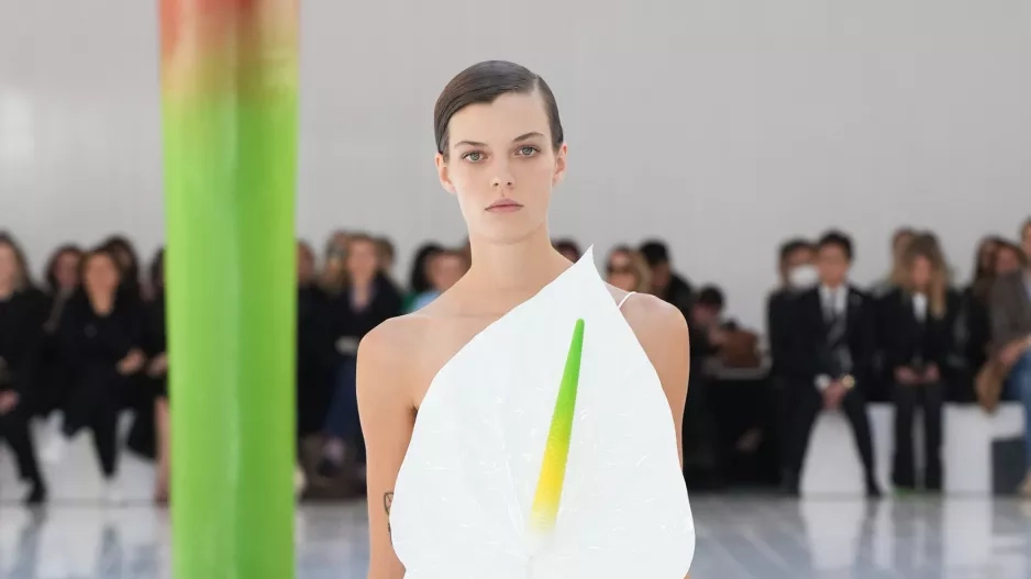 LOEWE LOEWE