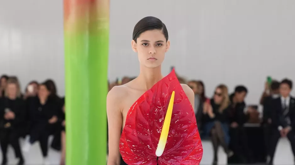 LOEWE LOEWE