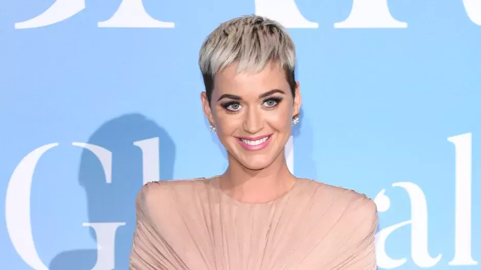 Zpěvačka Katy Perry