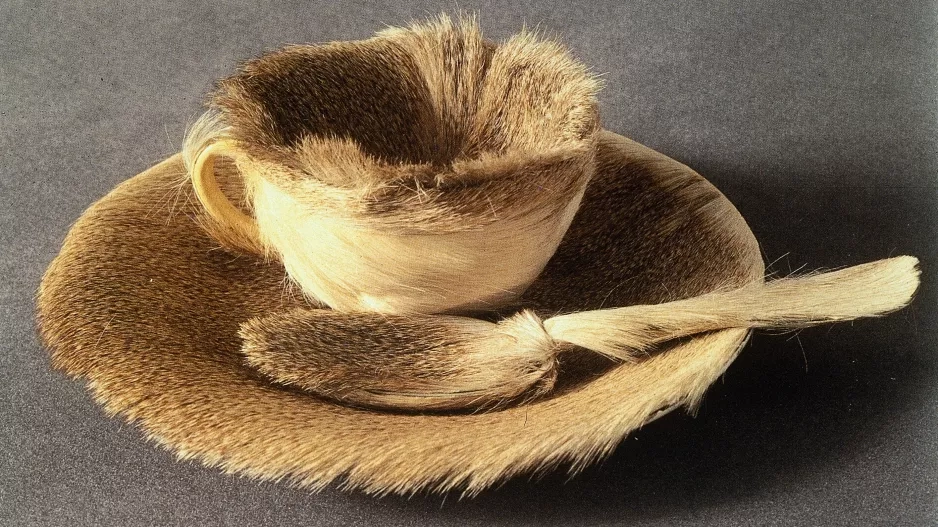 Objekt od Méret Oppenheim