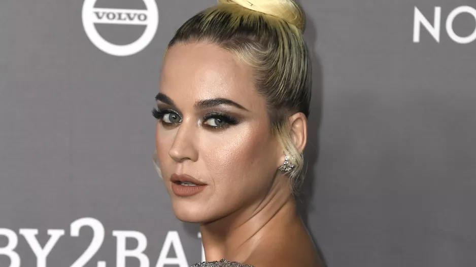 Zpěvačka Katy Perry Zpěvačka Katy Perry