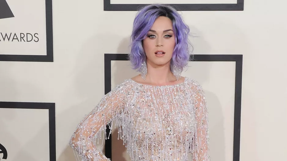 Zpěvačka Katy Perry Zpěvačka Katy Perry