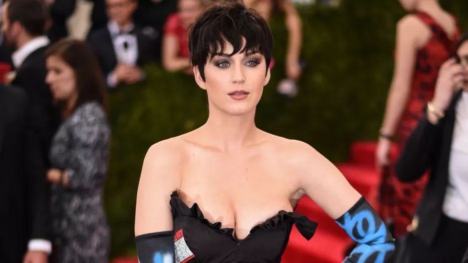 Zpěvačka Katy Perry Zpěvačka Katy Perry