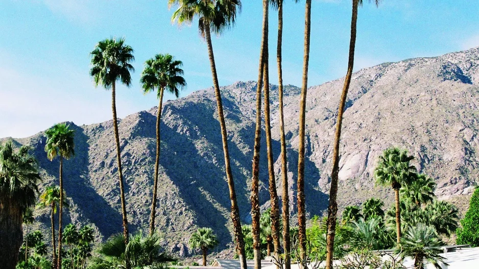Palm Springs
