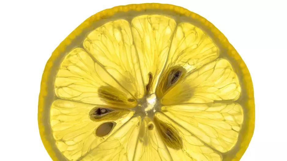 Imunita