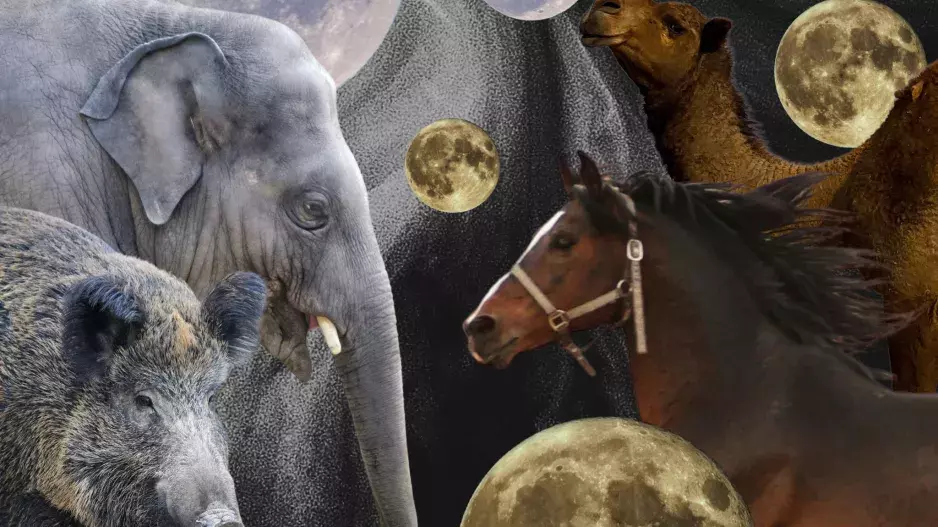 Perský horoskop