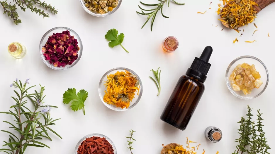 herbs and flowers