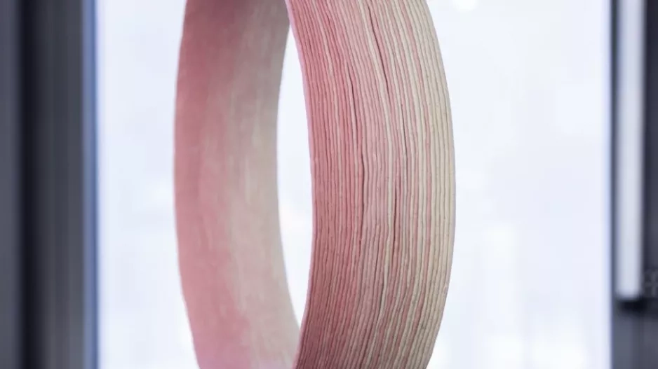 PAULA BENČATOVÁ, kolekce In a Certain Moment