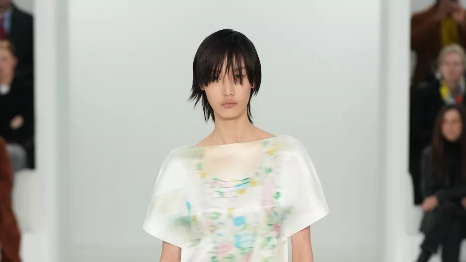 Loewe Loewe