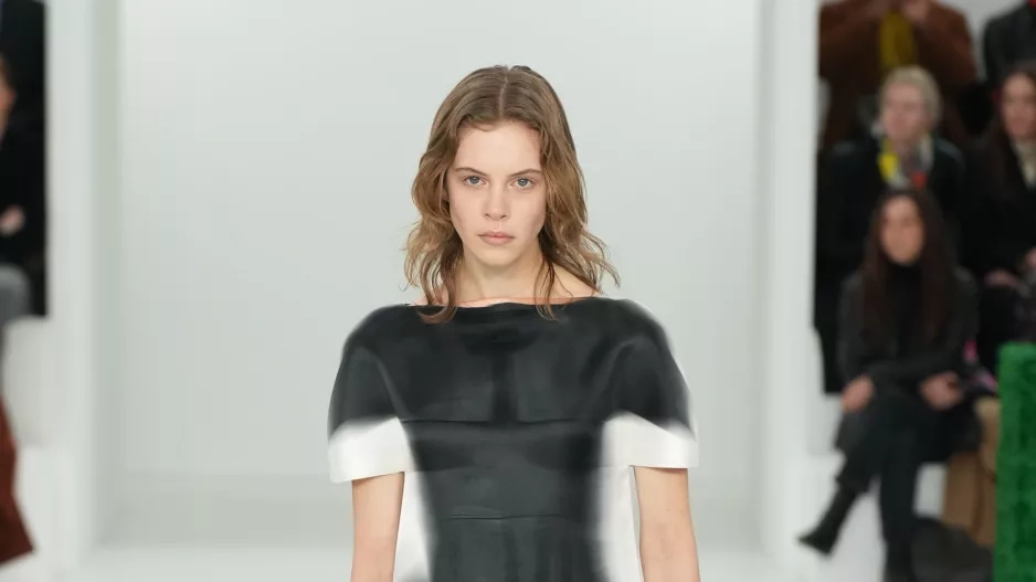 Loewe Loewe