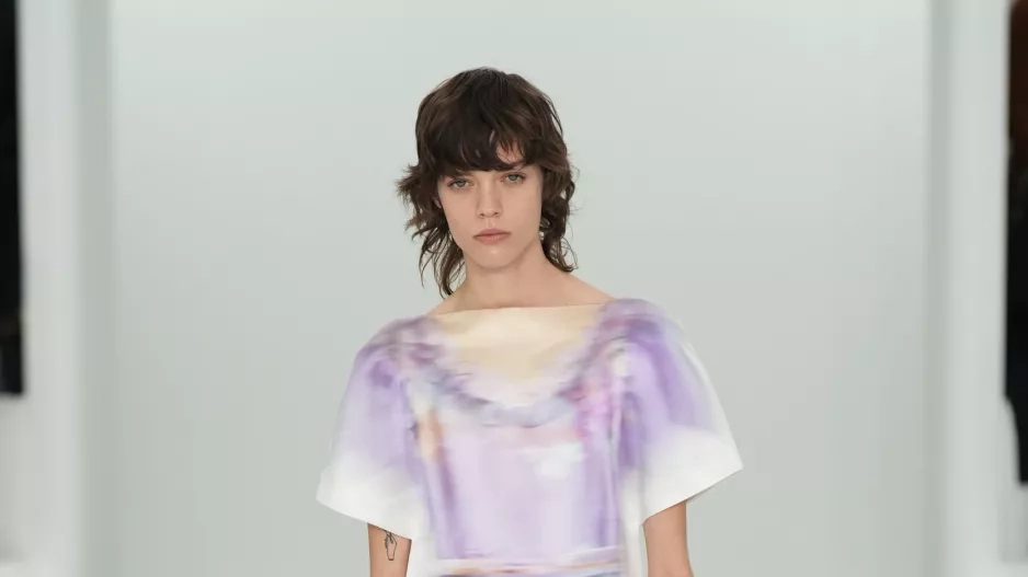 Loewe Loewe