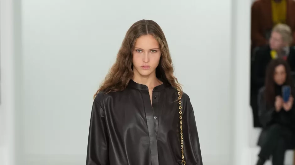 Loewe Loewe