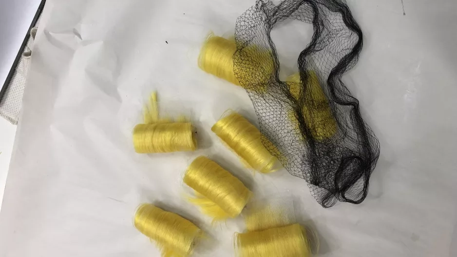 Alexandra Gnidiaková