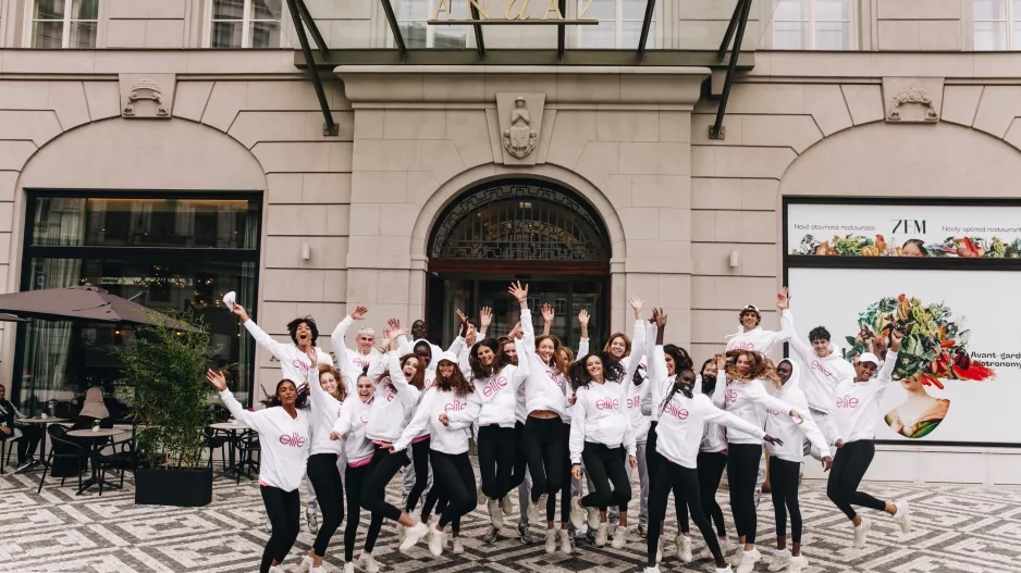 Schwarzkopf Elite Model Look